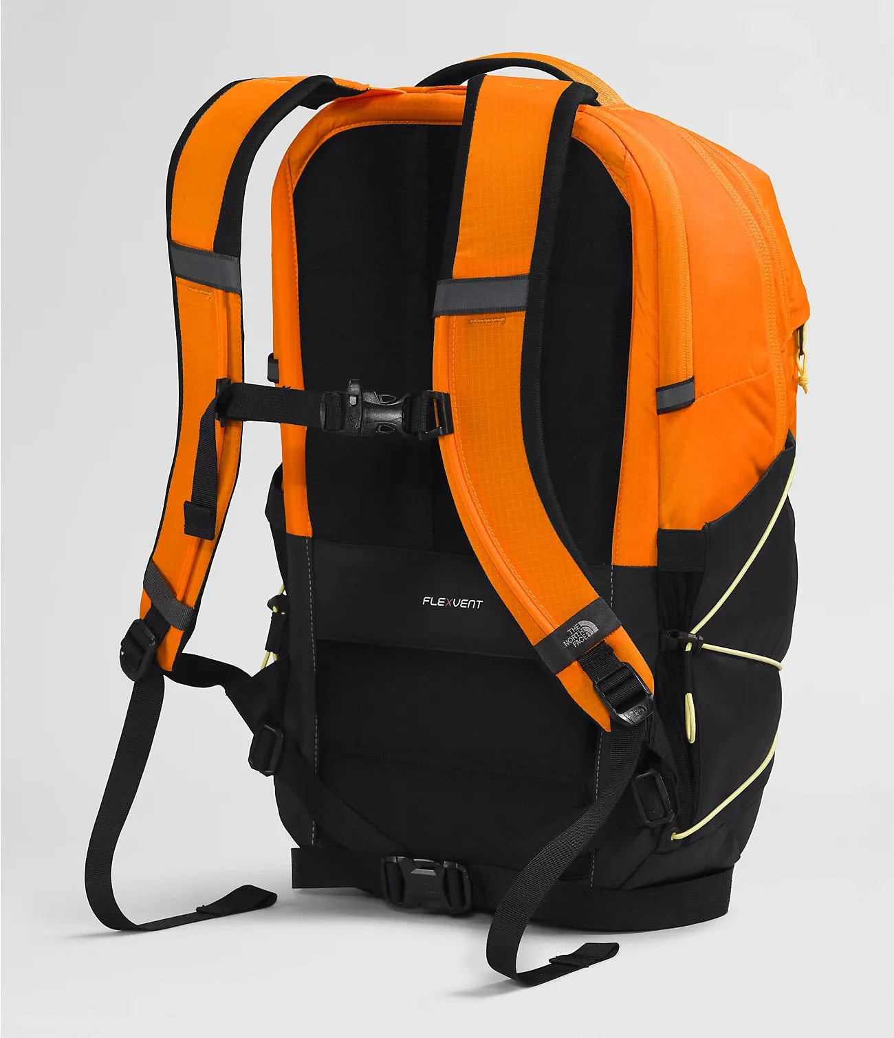 Borealis Backpack - NF0A52SE