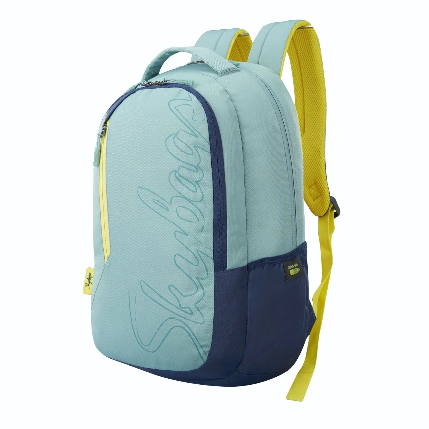 Skybags Campus  03 Laptop Backpack  Grey
