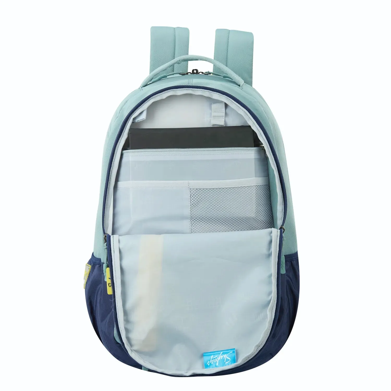 Skybags Campus  03 Laptop Backpack  Grey