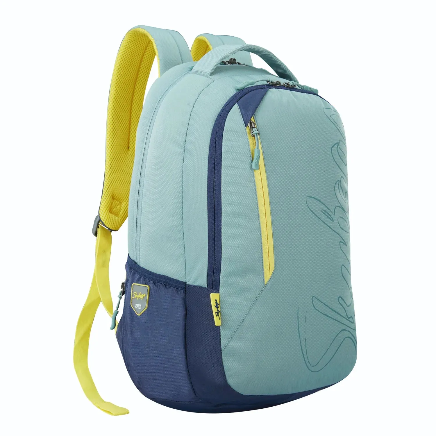 Skybags Campus  03 Laptop Backpack  Grey