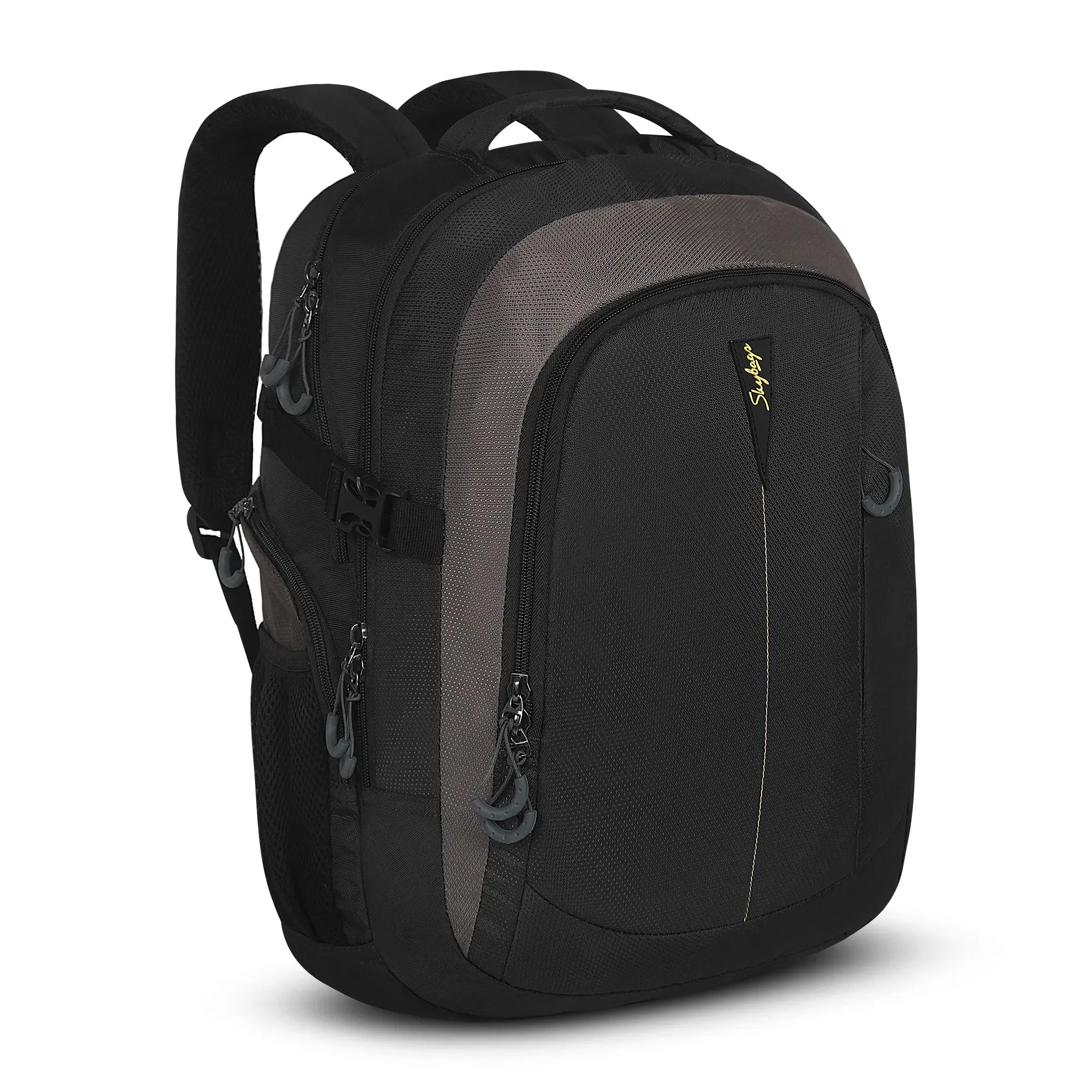 Skybags Chester Plus  Laptop Backpack